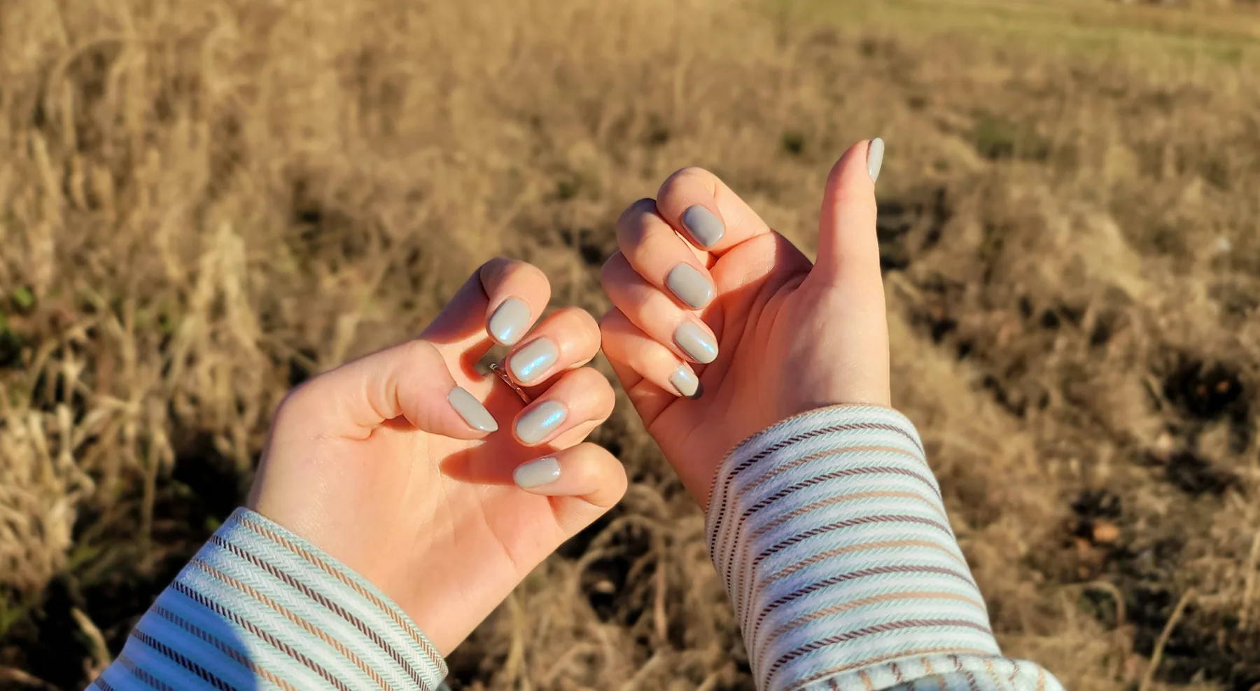 Soft grey manicured nails in golden afternoon light